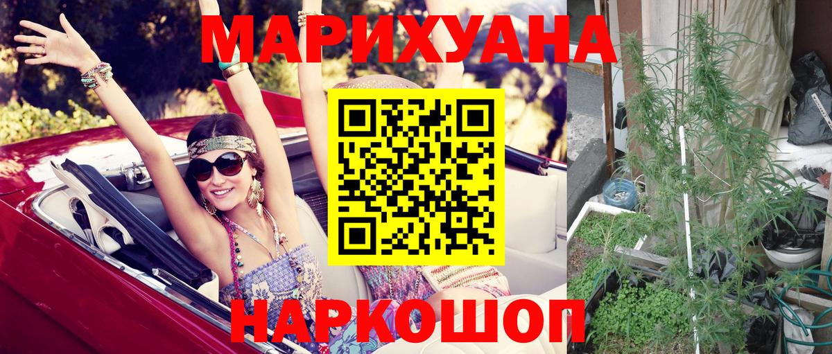 Бошки Шишки план Ливны